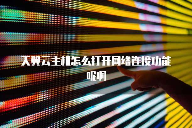 天翼云主机怎么打开网络连接功能呢啊