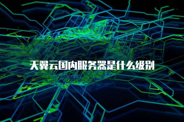 天翼云国内服务器是什么级别