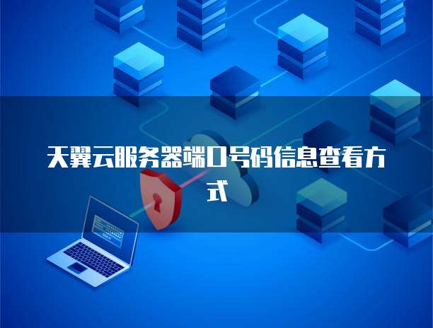 天翼云服务器端口号码信息查看方式