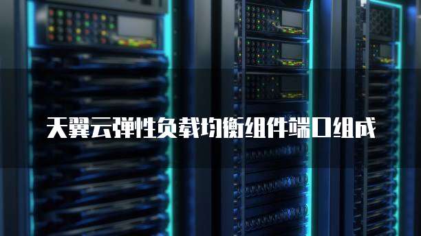 天翼云弹性负载均衡组件端口组成