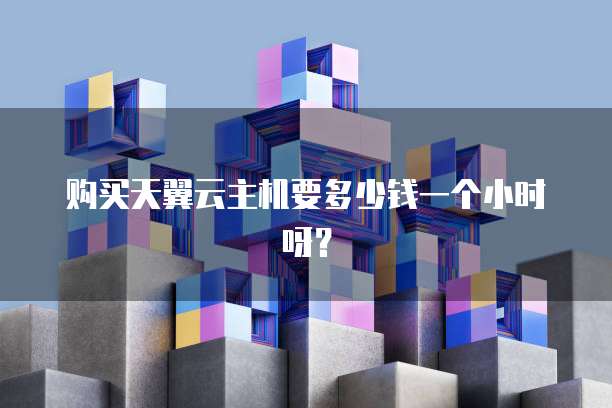 购买天翼云主机要多少钱一个小时呀?