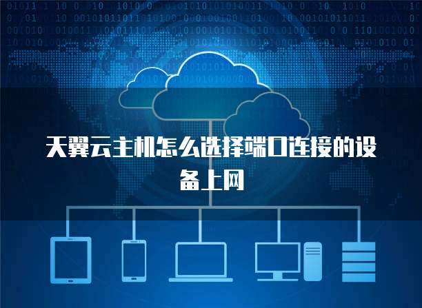 天翼云主机怎么选择端口连接的设备上网