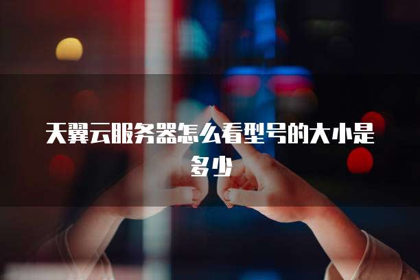 天翼云服务器怎么看型号的大小是多少