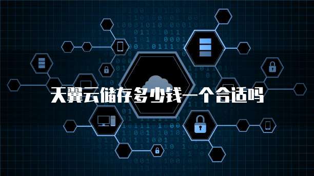 天翼云储存多少钱一个合适吗