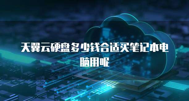 天翼云硬盘多少钱合适买笔记本电脑用呢
