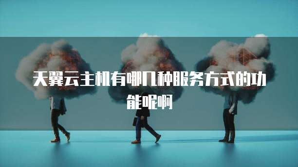 天翼云主机有哪几种服务方式的功能呢啊