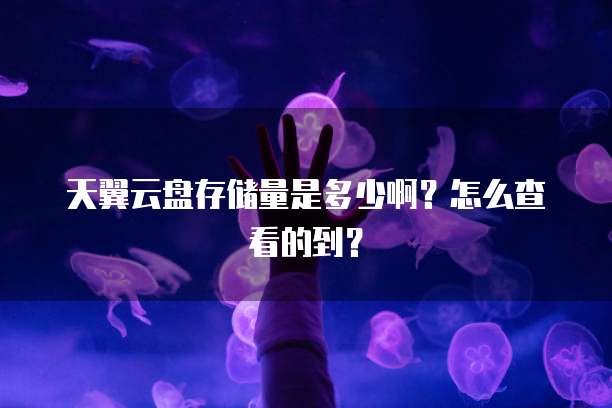 天翼云盘存储量是多少啊?怎么查看的到?
