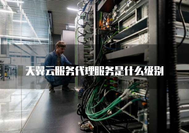 天翼云服务代理服务是什么级别