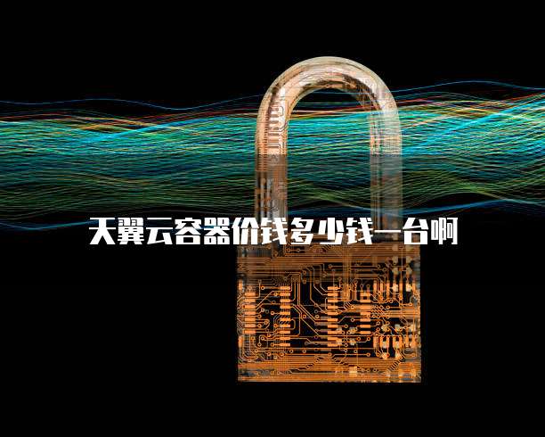 天翼云容器价钱多少钱一台啊