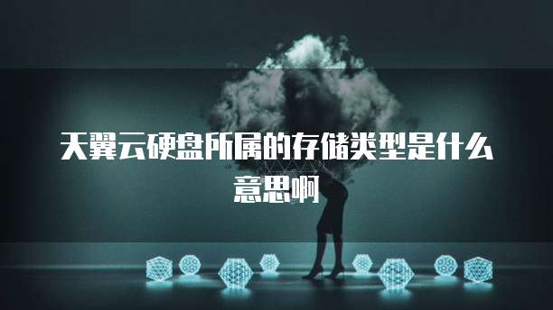 天翼云硬盘所属的存储类型是什么意思啊