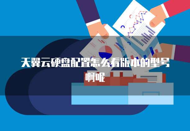 天翼云硬盘配置怎么看版本的型号啊呢