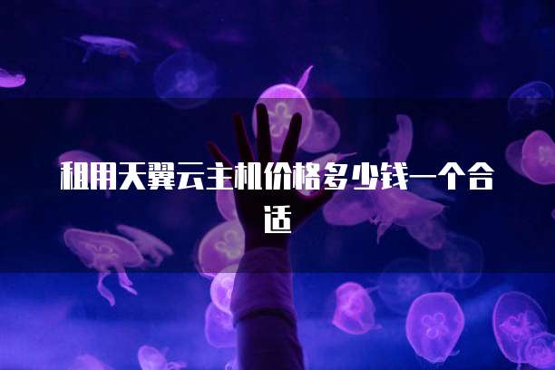 租用天翼云主机价格多少钱一个合适