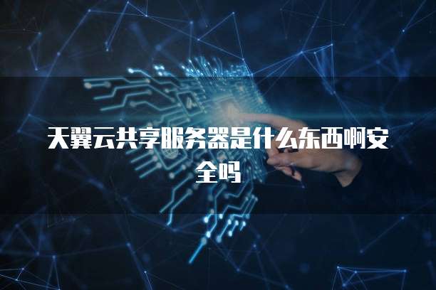 天翼云共享服务器是什么东西啊安全吗