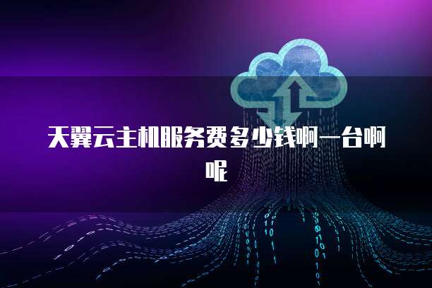 天翼云主机服务费多少钱啊一台啊呢