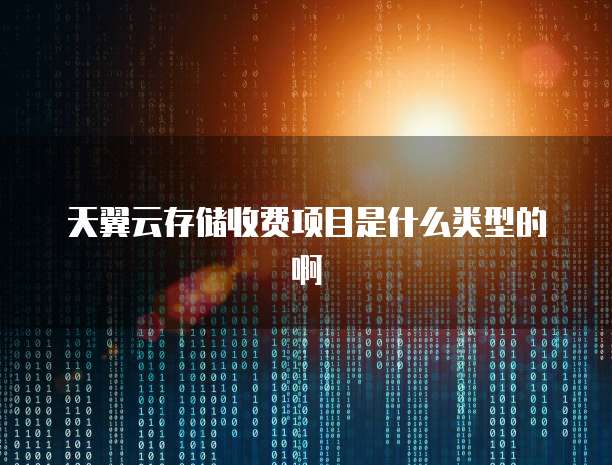天翼云存储收费项目是什么类型的啊