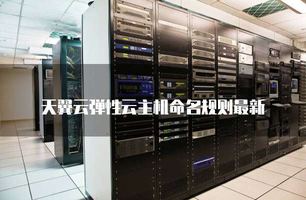 天翼云弹性云主机命名规则最新