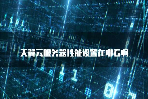 天翼云服务器性能设置在哪看啊