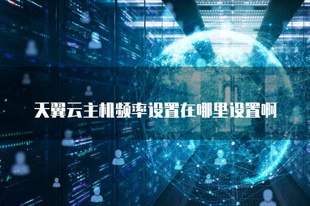 天翼云主机频率设置在哪里设置啊