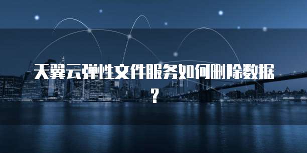 天翼云弹性文件服务如何删除数据?