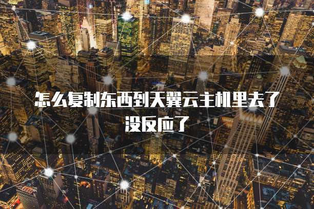 怎么复制东西到天翼云主机里去了没反应了