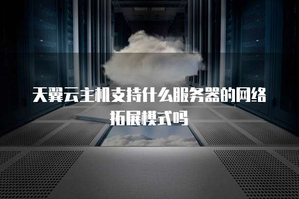天翼云主机支持什么服务器的网络拓展模式吗
