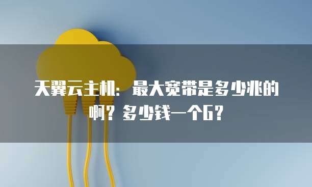 天翼云主机：最大宽带是多少兆的啊？多少钱一个G？