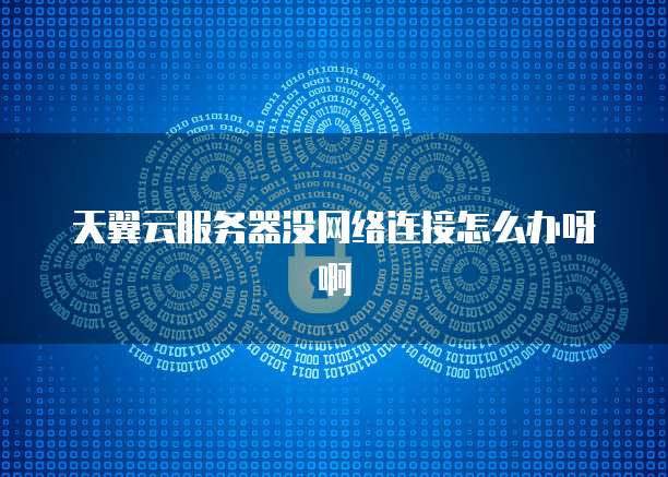天翼云服务器没网络连接怎么办呀啊