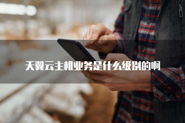 天翼云主机业务是什么级别的啊