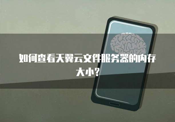 如何查看天翼云文件服务器的内存大小?