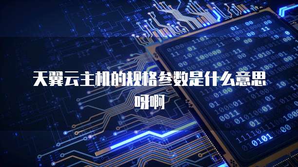 天翼云主机的规格参数是什么意思呀啊