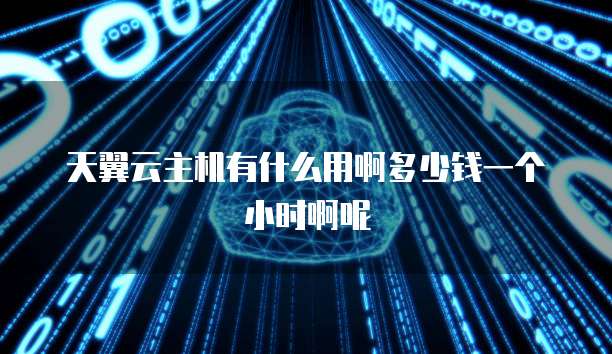 天翼云主机有什么用啊多少钱一个小时啊呢
