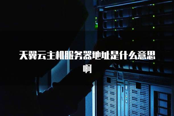 天翼云主机服务器地址是什么意思啊