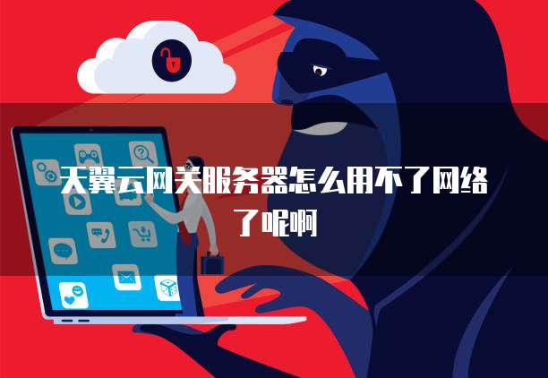天翼云网关服务器怎么用不了网络了呢啊