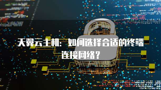 天翼云主机:如何选择合适的终端连接网络?