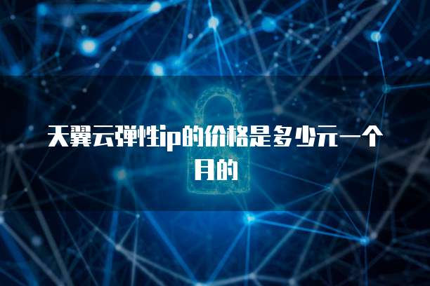 天翼云弹性ip的价格是多少元一个月的