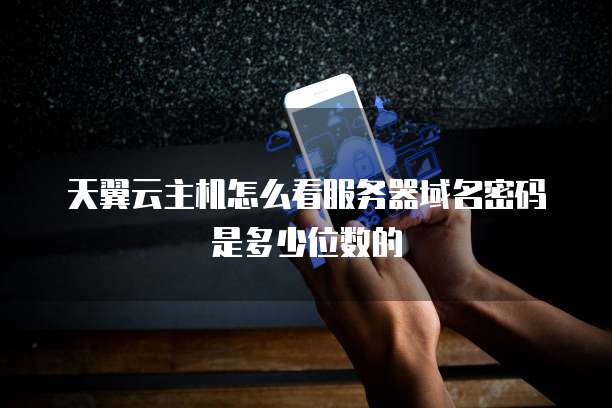 天翼云主机怎么看服务器域名密码是多少位数的