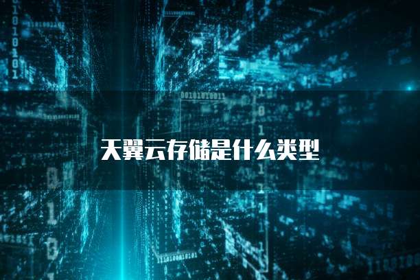 天翼云存储是什么类型