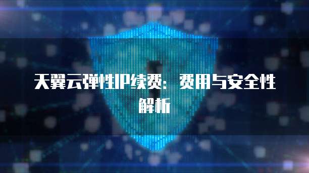天翼云弹性IP续费:费用与安全性解析