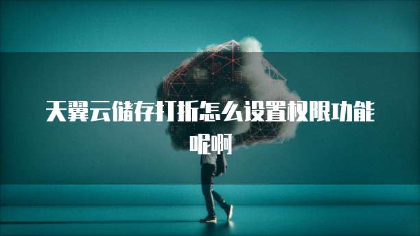 天翼云储存打折怎么设置权限功能呢啊