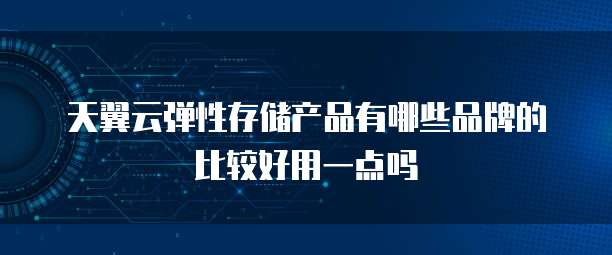 天翼云弹性存储产品有哪些品牌的比较好用一点吗