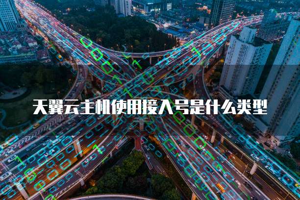 天翼云主机使用接入号是什么类型