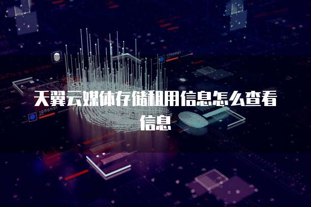 天翼云媒体存储租用信息怎么查看信息