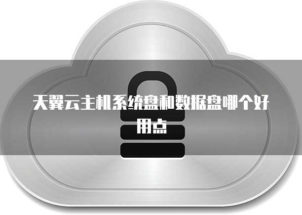 天翼云主机系统盘和数据盘哪个好用点