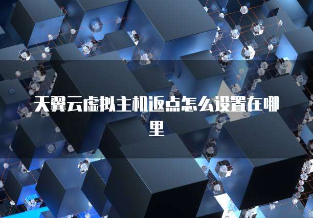 天翼云虚拟主机返点怎么设置在哪里