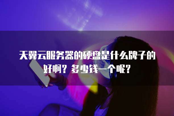 天翼云服务器的硬盘是什么牌子的好啊？多少钱一个呢？