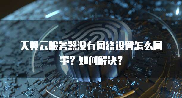 天翼云服务器没有网络设置怎么回事?如何解决?