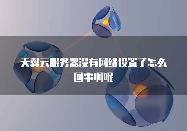 天翼云服务器没有网络设置了怎么回事啊呢