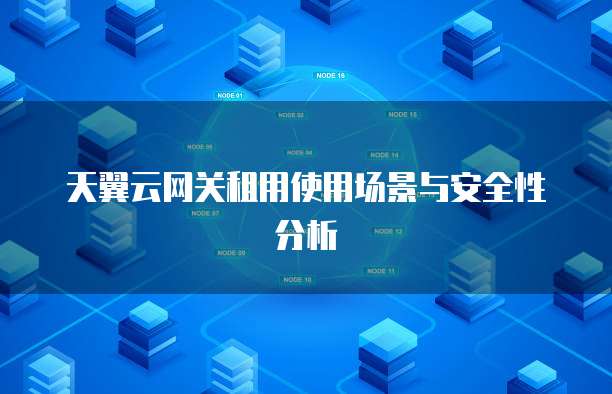 天翼云网关租用使用场景与安全性分析