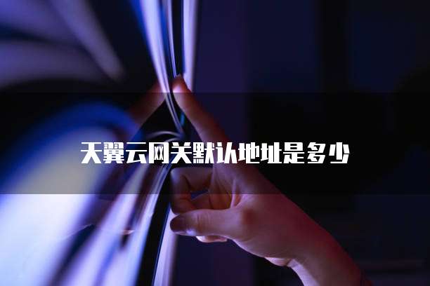天翼云网关默认地址是多少