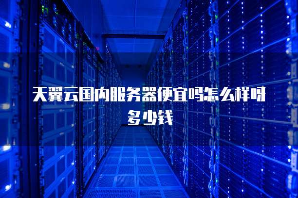 天翼云国内服务器便宜吗怎么样呀多少钱